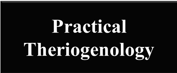 practical-theriogen2.jpg